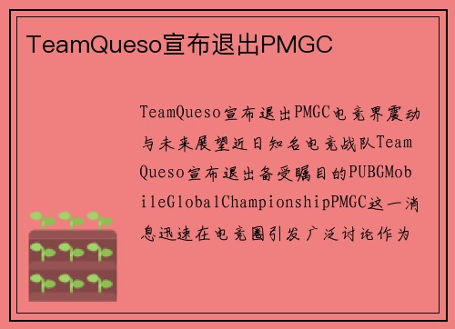 TeamQueso宣布退出PMGC