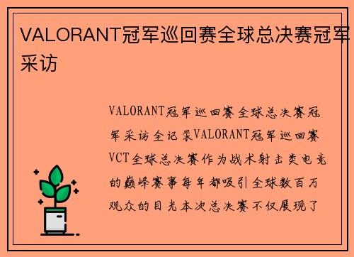 VALORANT冠军巡回赛全球总决赛冠军采访