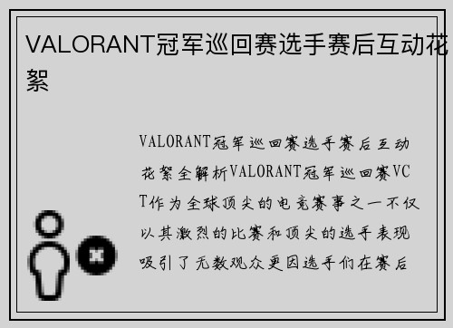 VALORANT冠军巡回赛选手赛后互动花絮