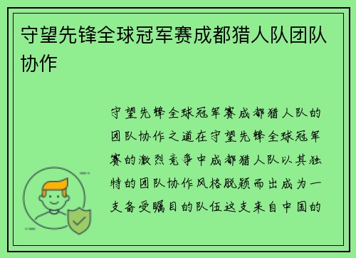 守望先锋全球冠军赛成都猎人队团队协作